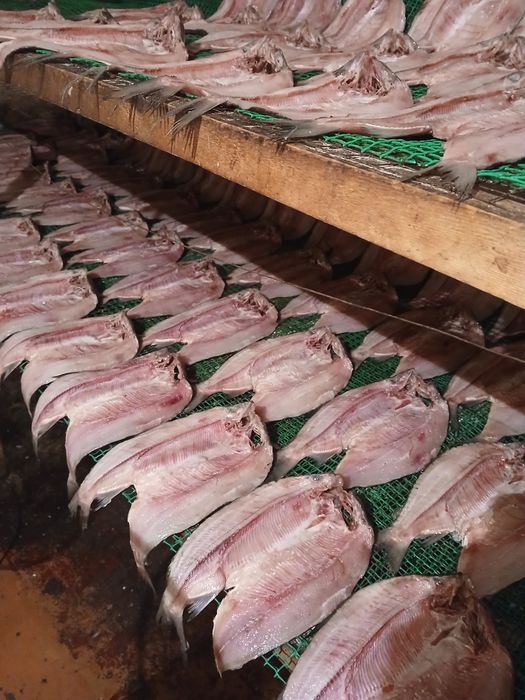 Продам вяленную и горячего копчения рыбу
