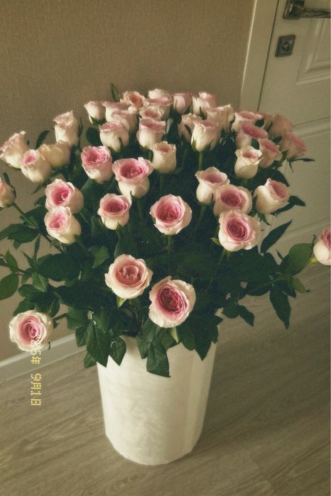 51шт розовые розы