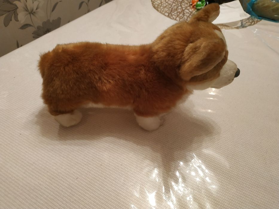 Продаю.мягкую игрушку собачка.маламут