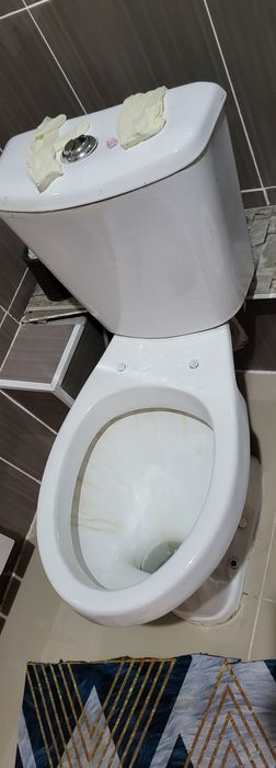 Унитазы с бочком