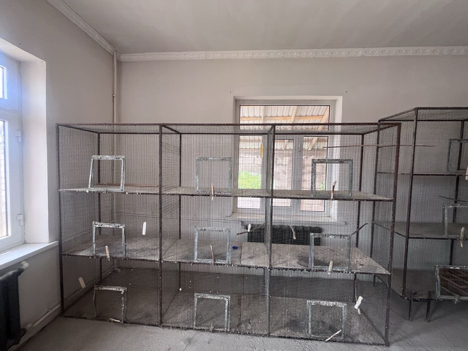 Papugay lar uchun qafas