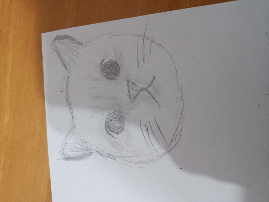 Рисую наших братьев меньших