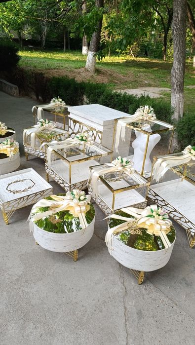 ту́й мошина ва ту́й сарполар