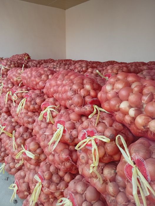 Piyoz sotiladi 100 tona