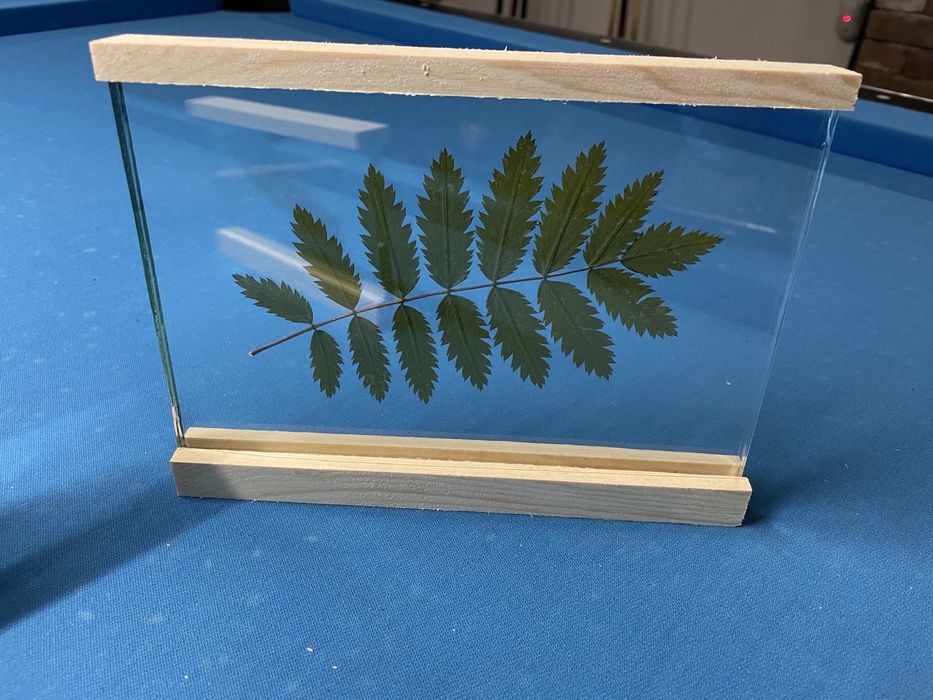 Рамка с хербаризирани цветя