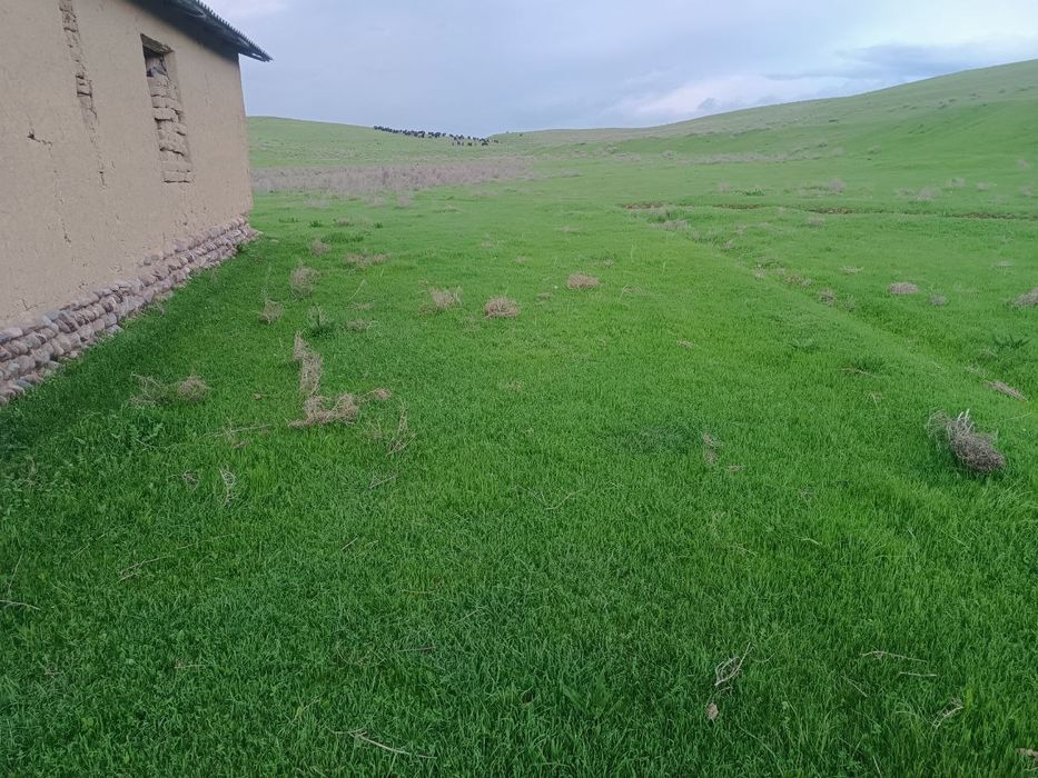 Срочна Продается 44 соток Земельный Усасток