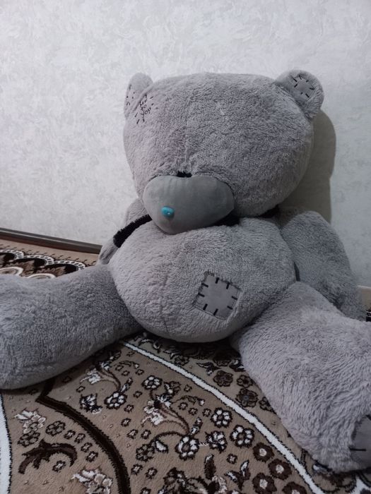 .         Teddy ayiq