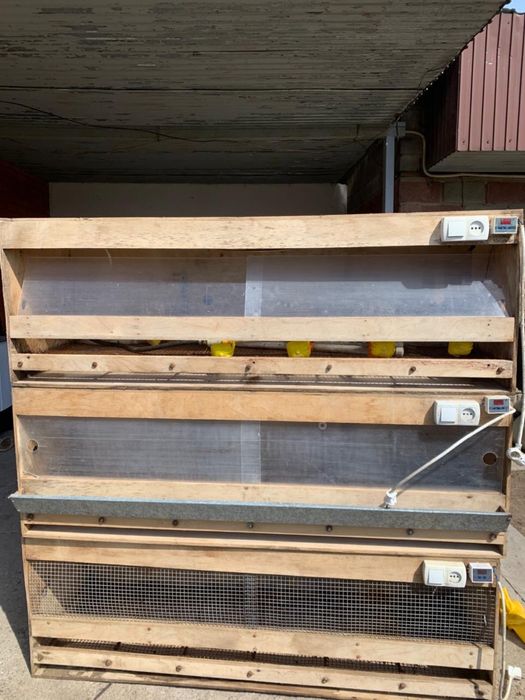 брудер для цыплят