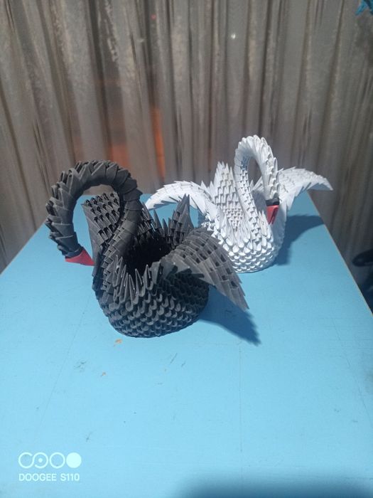 Пара белых лебедей