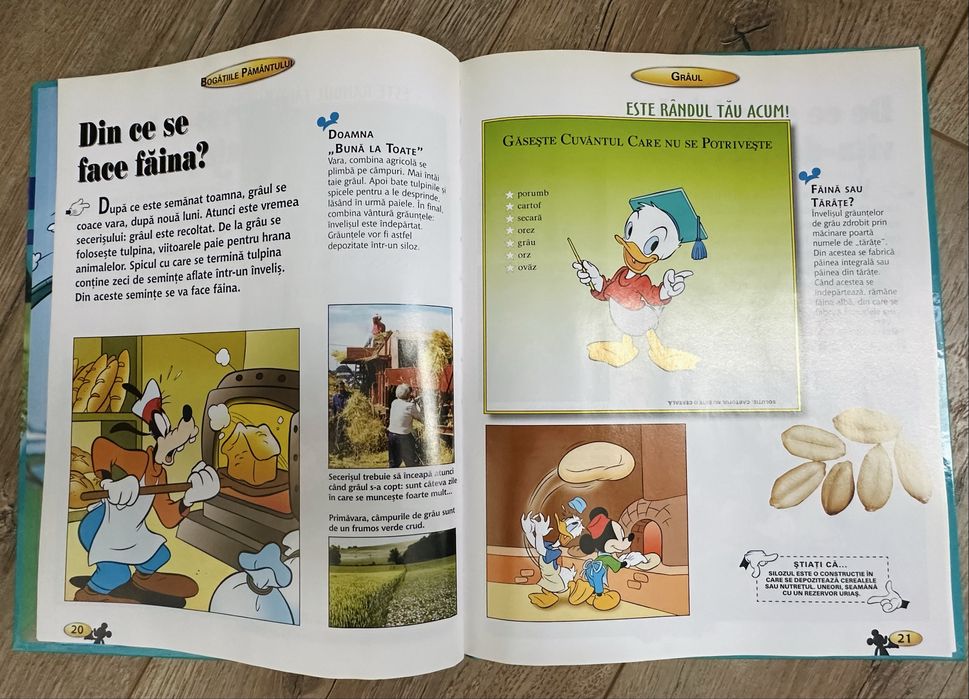 25 de enciclopedii Disney