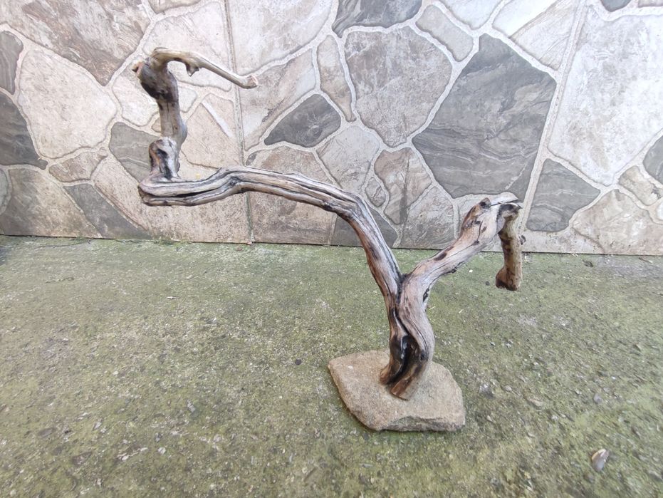 Decorațiuni acvariu - terariu