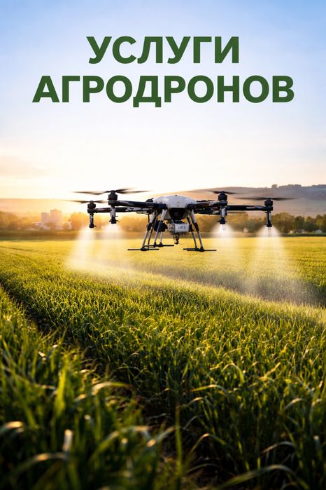 Услуги агрондрона