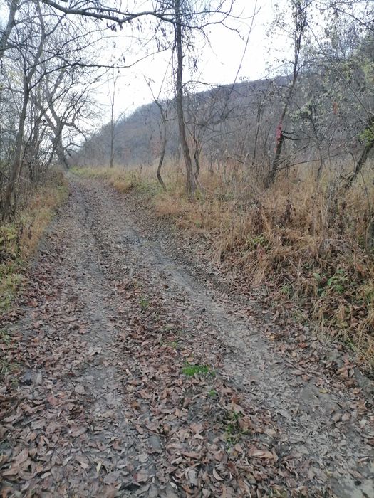 Teren în zona Cetății Saschiz