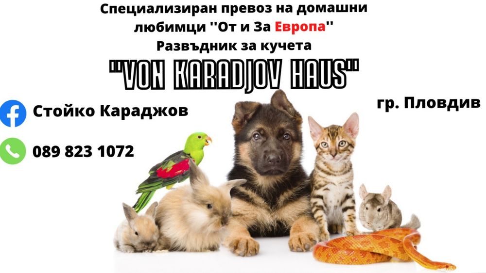 Превоз на домашни любимци в България