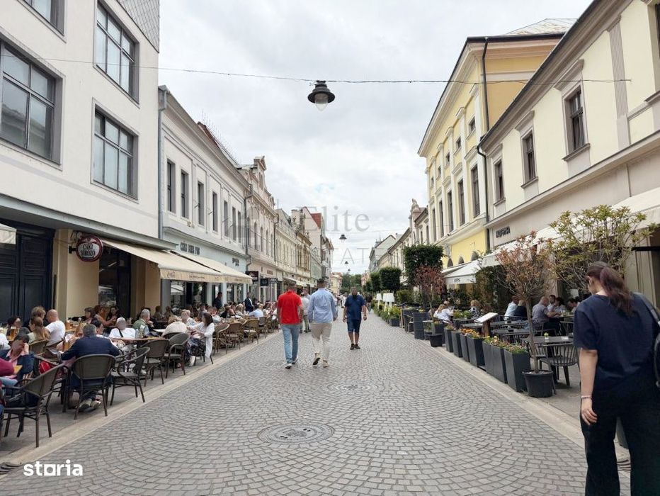 Spatiu Comercial Pietonala Vasile Alecsandri | 200 mp | Vitrina ampla