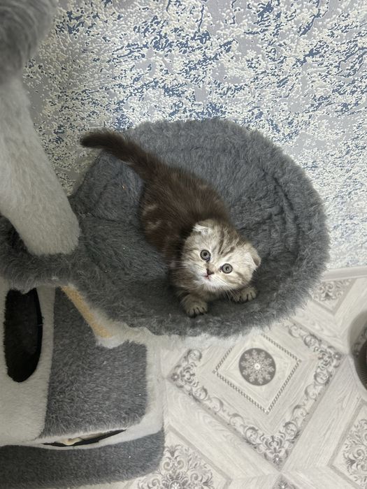 Прочитайте описание