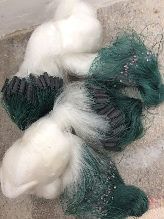 Plase pescuit pescaresti