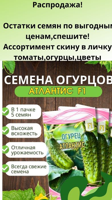Семена Томаты ,Огурцы