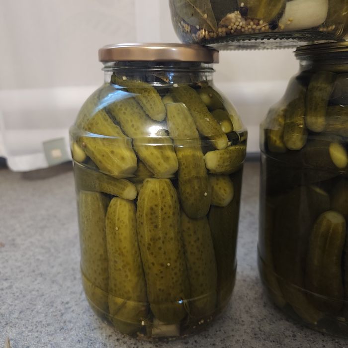 Продам соленые огурцы