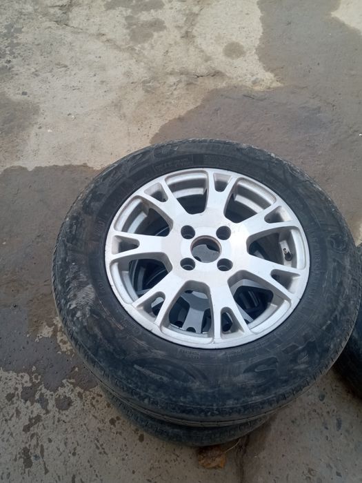 14 saka diska juguliga