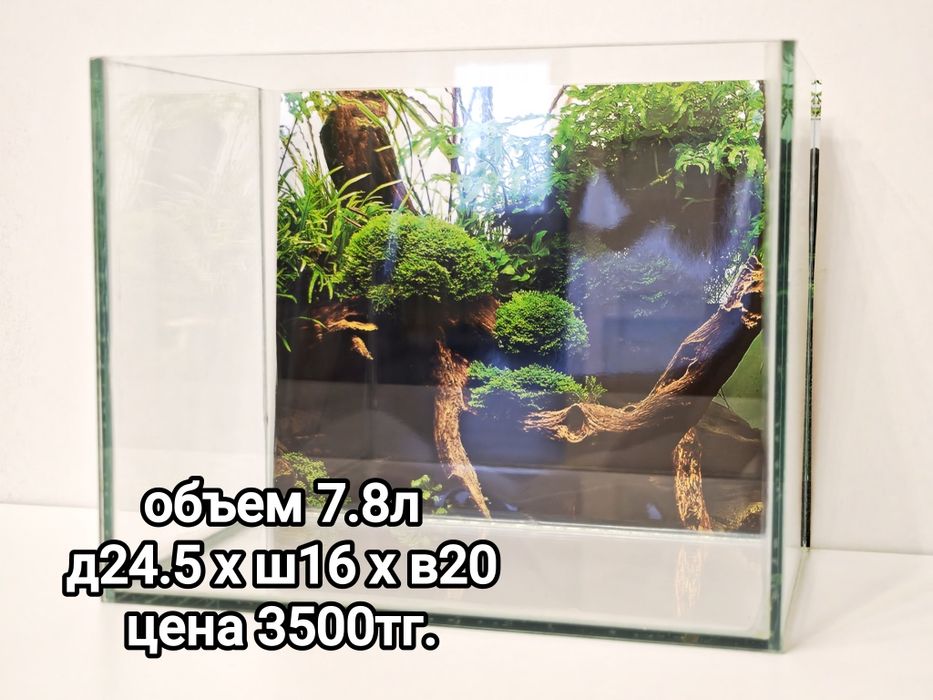 Аквариум продажа