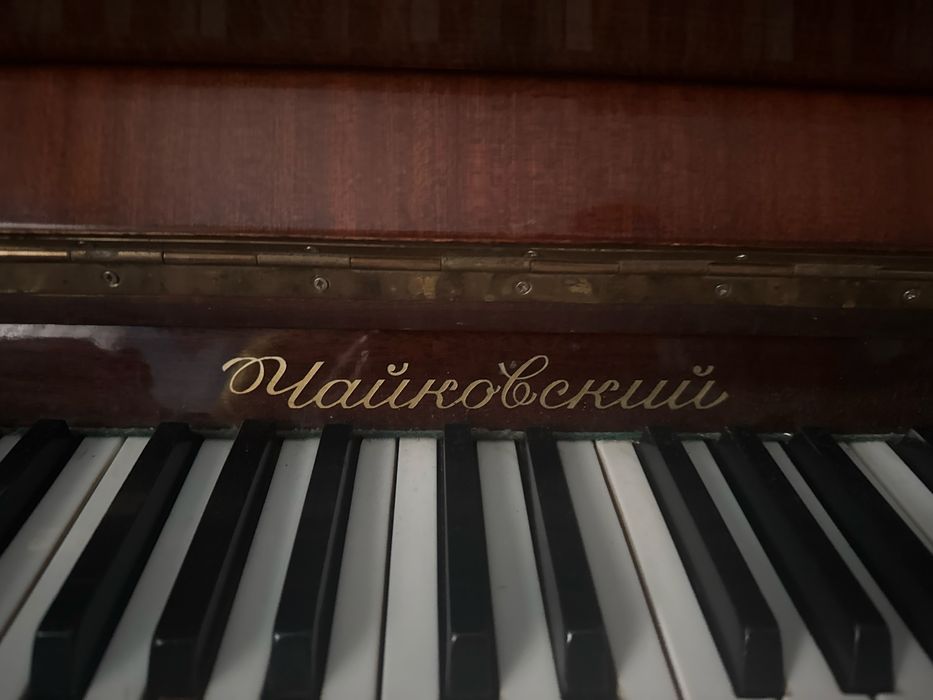 Vand pian acustic clasic „Ceaikovski”