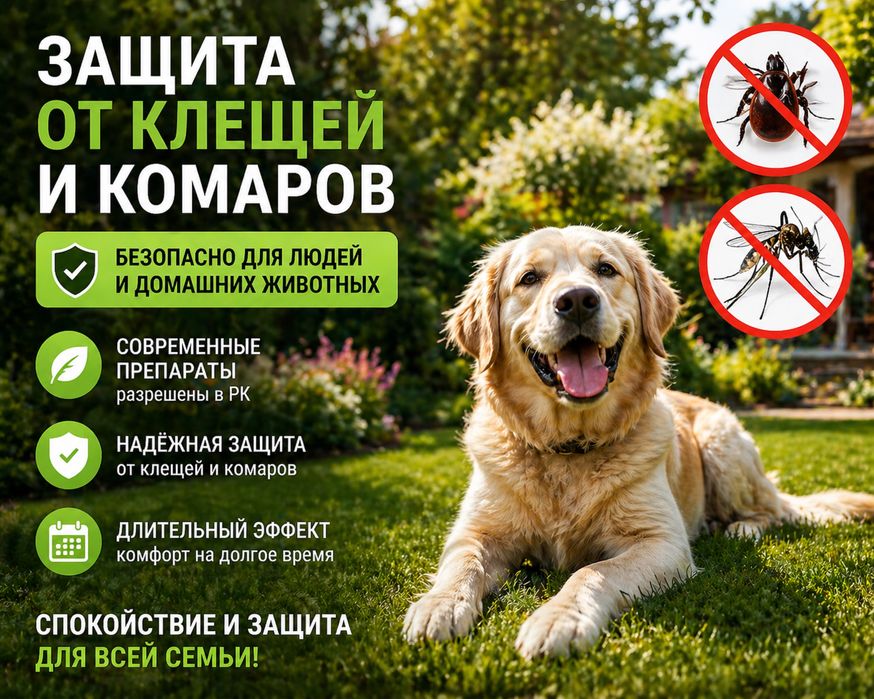 Обработка участков от комаров и клещей