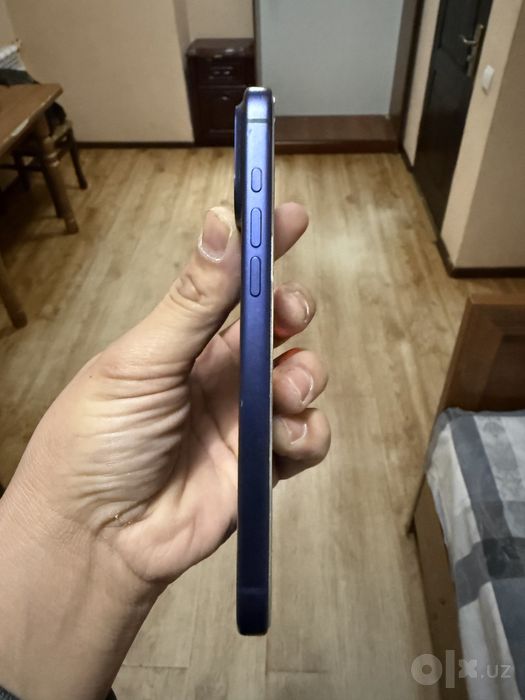 Apple  17 pro max
