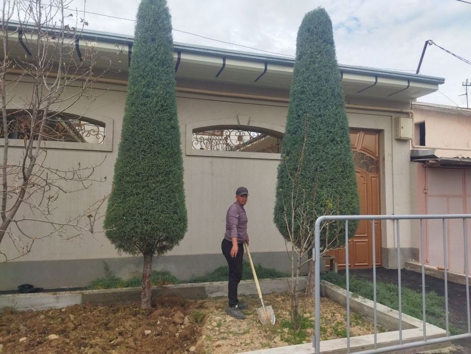Archa kesish dorilash va gazon ikish