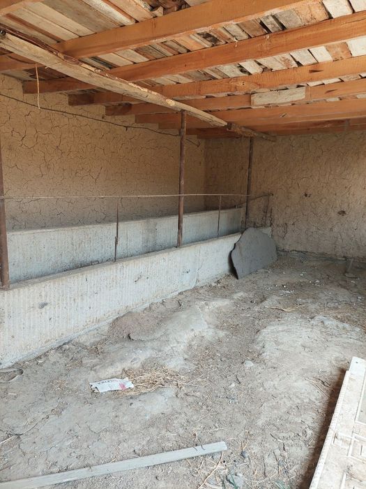 Qibrayda joylashgan 3/5   sotix yol yuzida