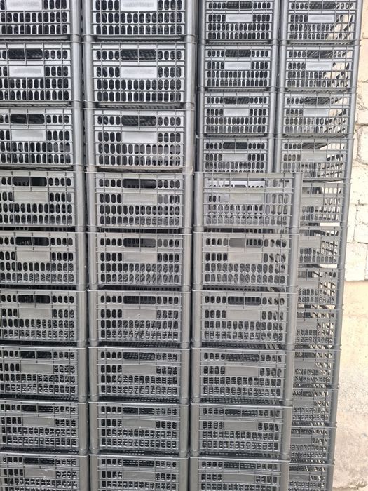 Пластмасс ящиклар сотилади оптом.