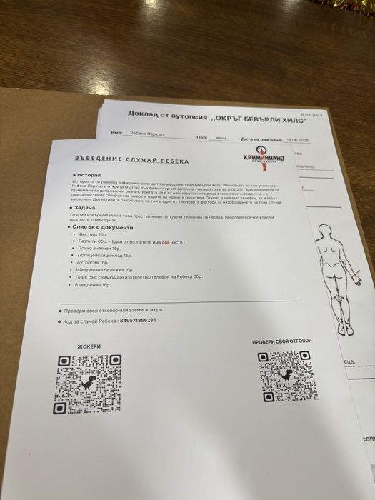 Криминален случай: РЕБЕКА