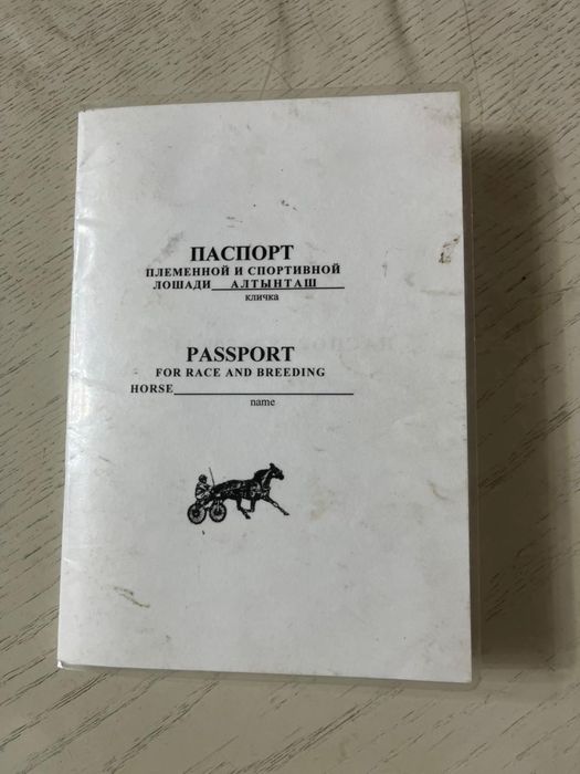 Продам русского  рысака