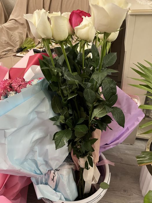 Цветы, продам сегодня, срочно