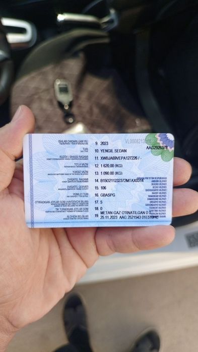 Other Cobalt 2023 — 8