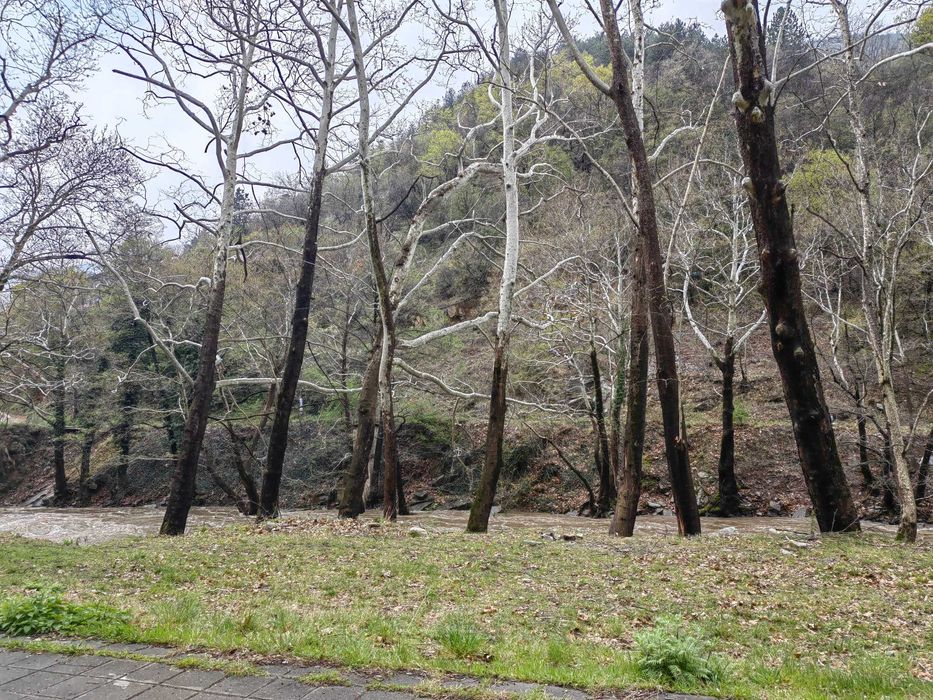 Продава се Парцел в с. Бачково, Област Пловдив - 363 кв.м за 138 €/кв.м - Снимка #1