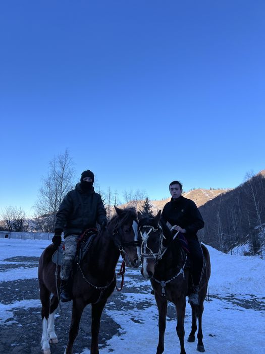 Айгыр, уйыр корген