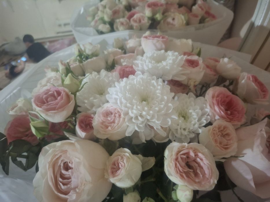 гүл алам десеңдер ватсапқа шығыңдар