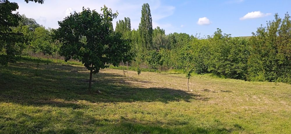 Продава се Къща в Видин, Акджамия - 56 кв.м за 1822 €/кв.м - Снимка #19