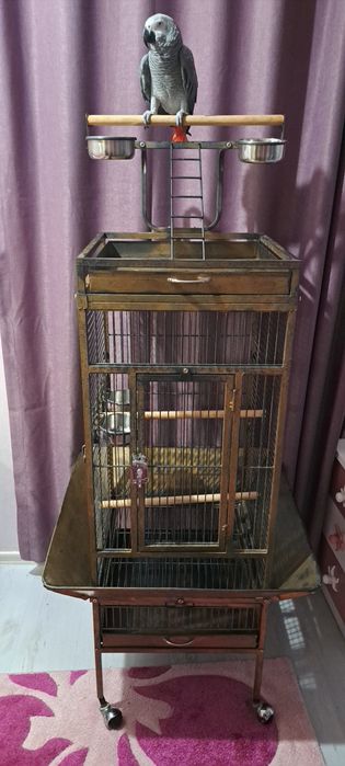 Масивна клетка за средни и големи папагали