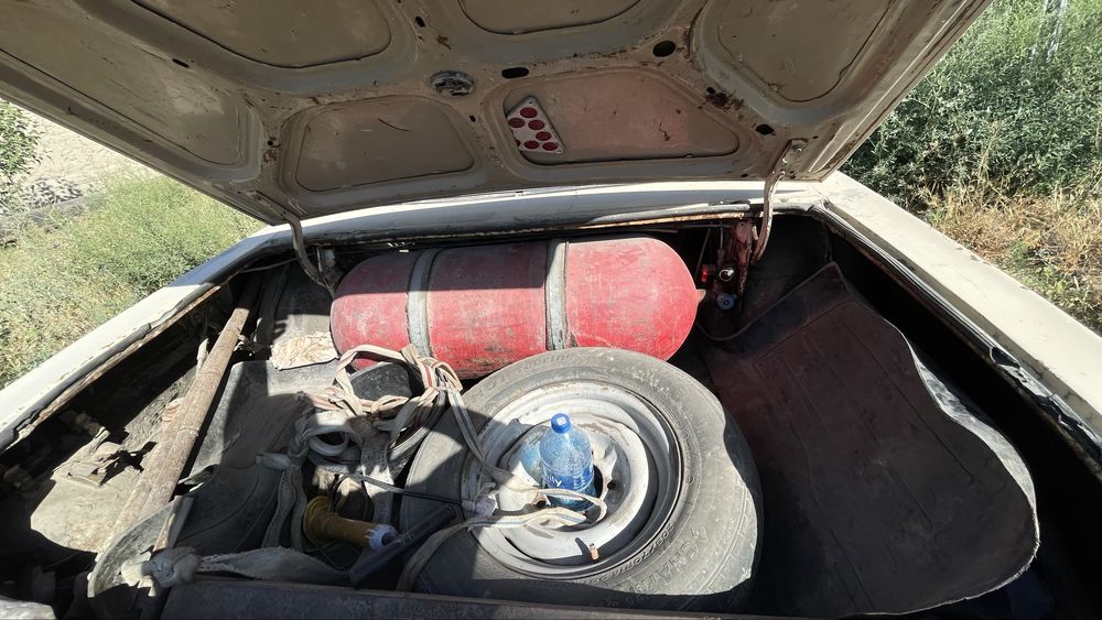 Volga gaz 24 850$ga