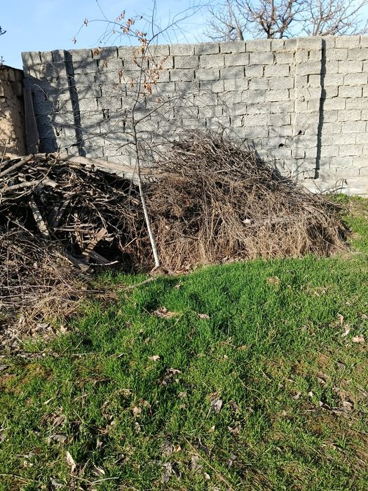 Òtin sotiladi suratdagi hamasi