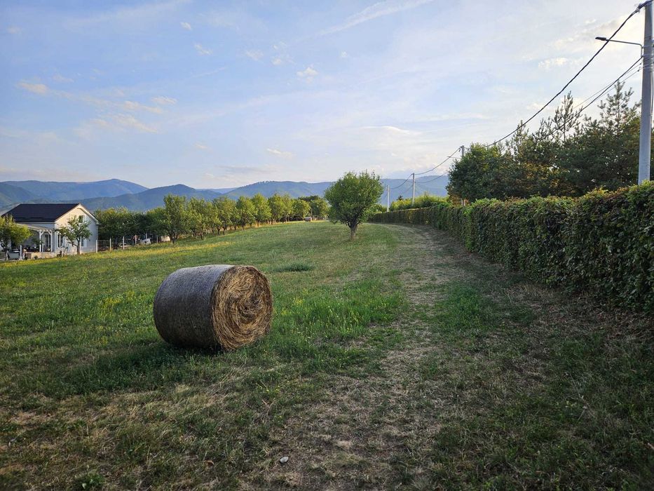 Teren intravilan în Tocile, lângă Cisnădie | Utilități | Vedere spre Muntii Făgăraș si Cindrel | Posibilitate parcelare