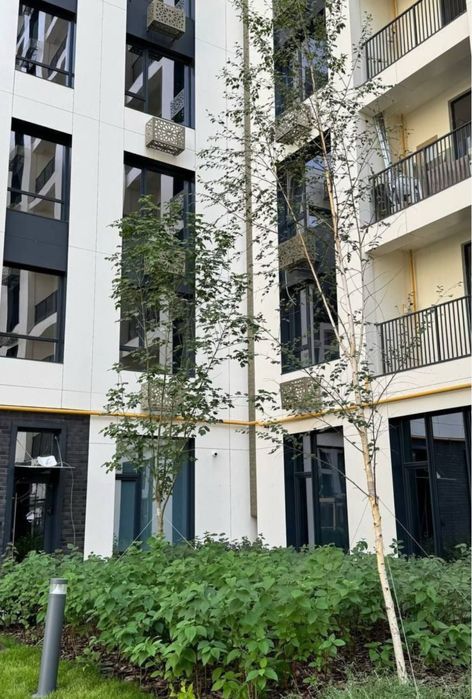 Biznes Klass dom Kadastorli ‼️ 3xona 3x Sanuzel NRG jOMIY