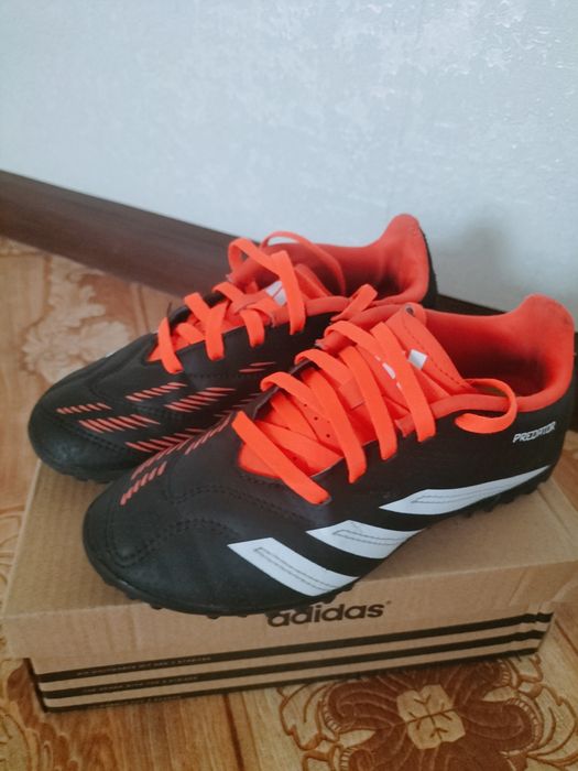 Сороконожки детские