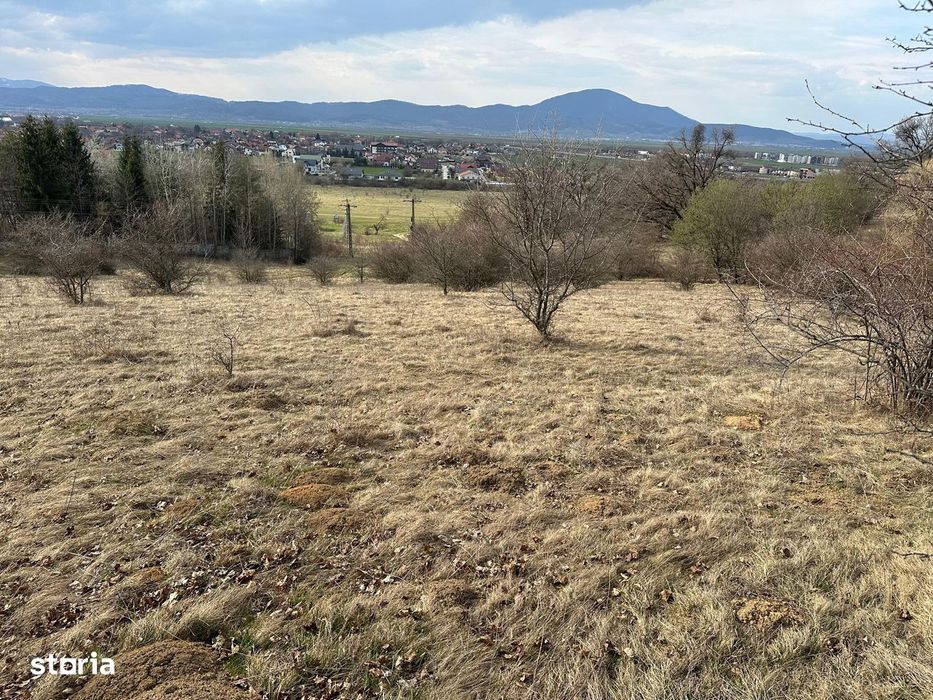 Teren extravilan pășune 6.000 mp – Cristian, Brașov