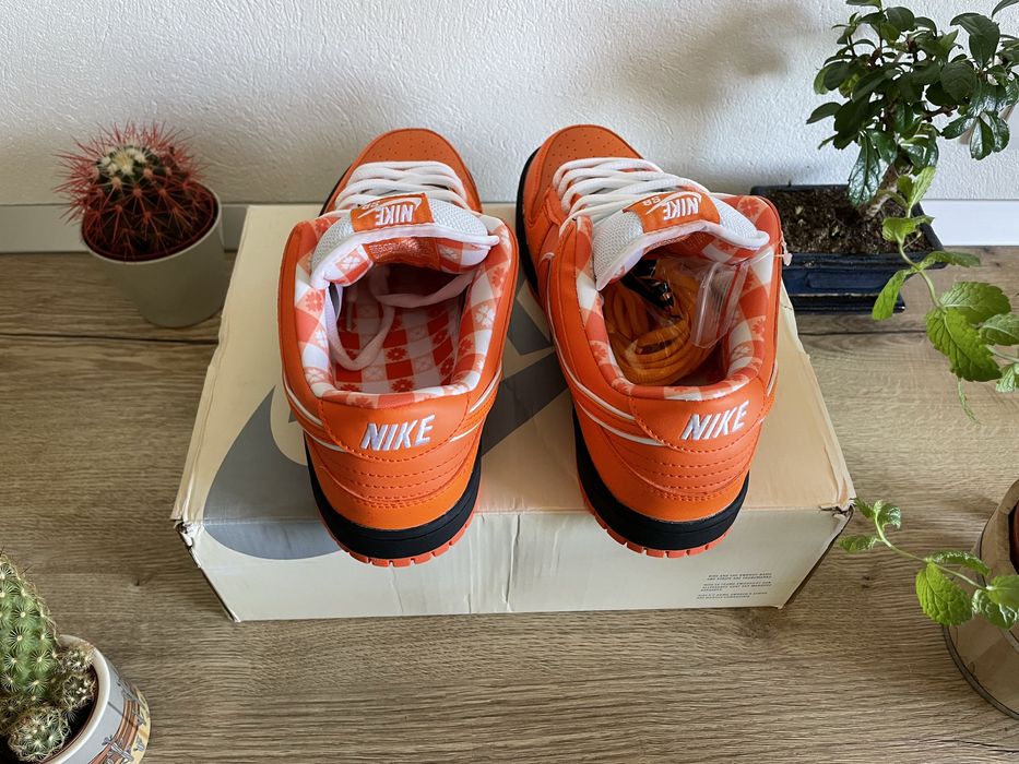Nike SB Dunk Low Pro Orange Lobster