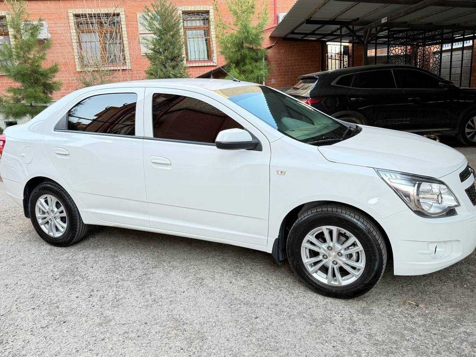 Коблт 2025 йил оқ ранг