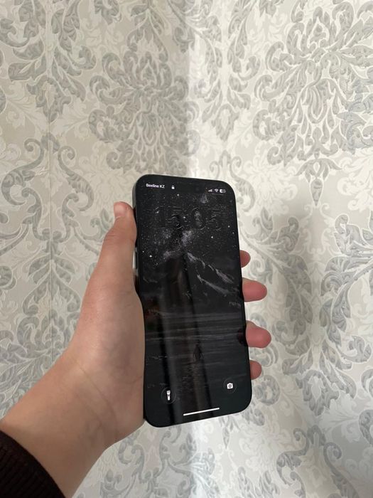 14 Pro Max идеал