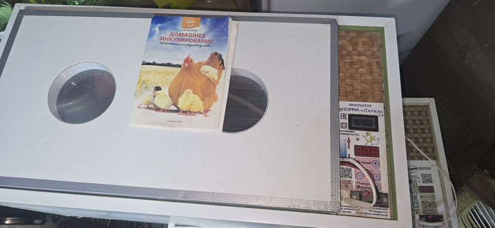Инкубатор норма парка